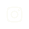 instagramIcon
